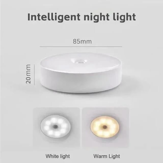 Motion Sensor LED Light