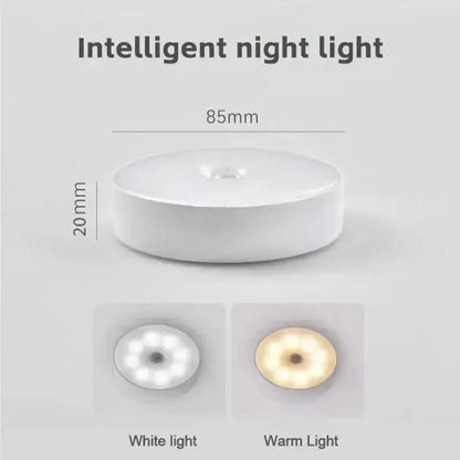 Motion Sensor LED Light